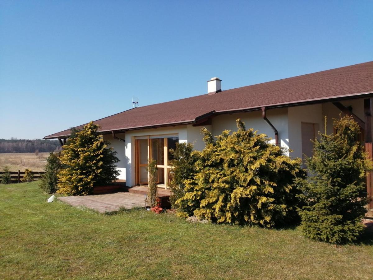 Slonecznikowa Zagroda Debina  Exterior foto